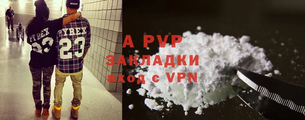 индика Балахна