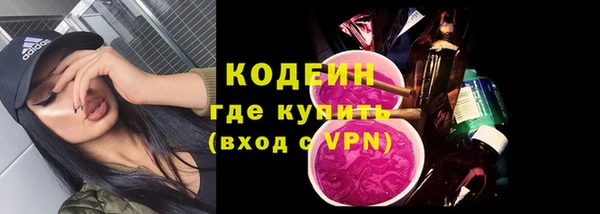 индика Балахна