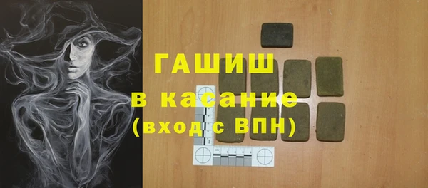 индика Балахна