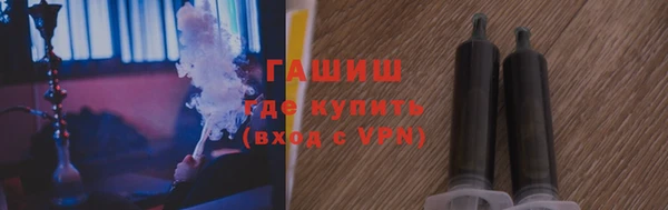 индика Балахна