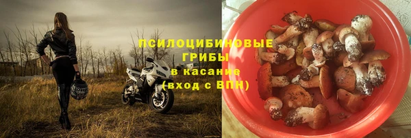 спайс Баксан