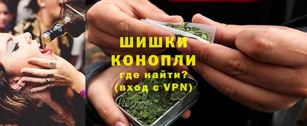 индика Балахна