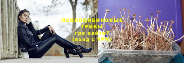 твердый Белокуриха