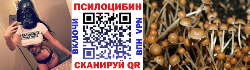 Галлюциногенные грибы Cubensis  Купить  Светлый 